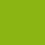 LG Lime Green LG Lime Green